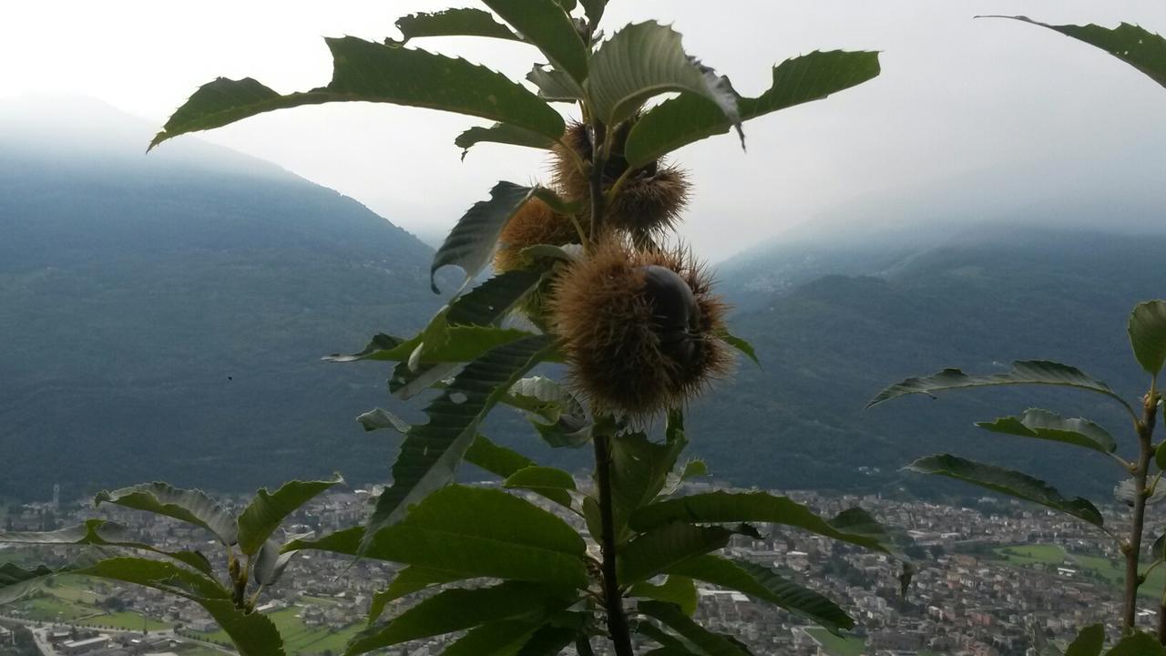 Agriturismo Da Ysy Civo 外观 照片
