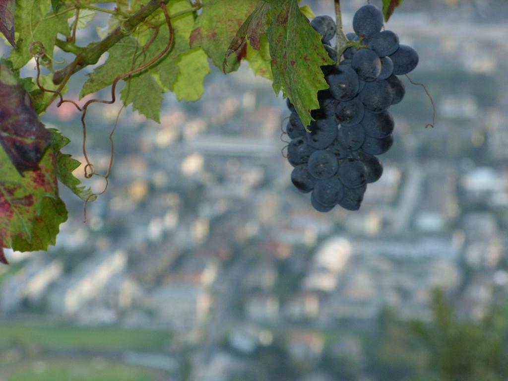 Agriturismo Da Ysy Civo 外观 照片